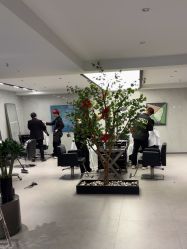 -付军剪艺JF ProSalon