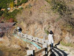-泸沽湖里格半岛
