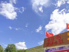 -张北坝上草原