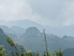 -王莽岭风景区