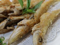 -潮静·潮州小馆·海鲜·卤味·砂锅粥
