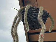 -京北渔家傲