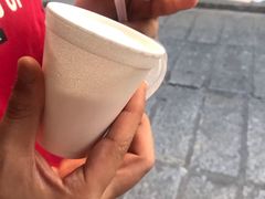 -洪馨椰子
