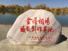 -金塔沙漠胡杨林景区