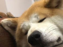 -YCHL Studios健身工作室(市二宫店)