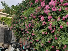 -天津五大道文化旅游区