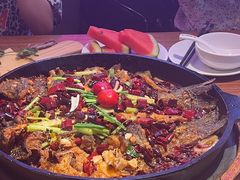 -老板恋上鱼(恒隆广场店)