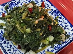 -照金特色农家乐