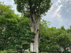 -艾溪湖湿地公园