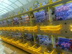 -万达广场(大明宫店)