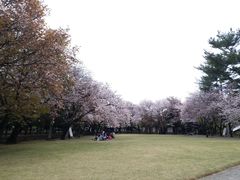 -水前寺成趣园