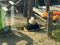 -大连森林动物园