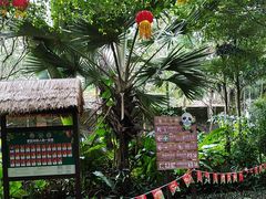 -海南热带野生动植物园