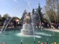 -洛阳郁金香牡丹园