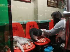 -猫咪博物馆(顶澳仔猫街店)