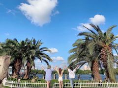 -上海海洋水族馆