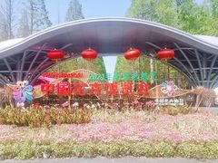 -东平国家森林公园