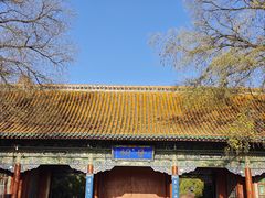 -晋祠公园
