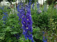 -国味壹号·精品湘菜·宴请佳选(新天地店)