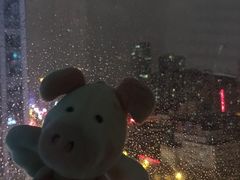 -星城之眼摩天轮