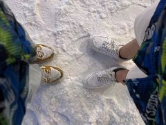 -世界之窗阿尔卑斯冰雪世界