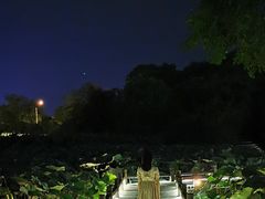 -艾溪湖湿地公园