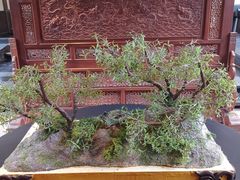 -成都安仁福朋喜来登酒店