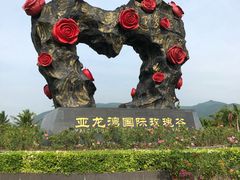 -亚龙湾国际玫瑰谷