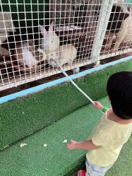 -可可天空农场(中大店)