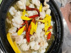 -楼上大排档·顺德菜·粥水·鱼生(苗栗路店)