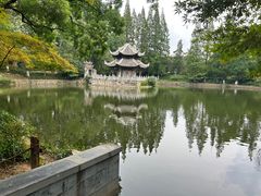 -习家池