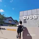 京西新晋小清新咖啡学院‖快来打卡吧[嘿哈]