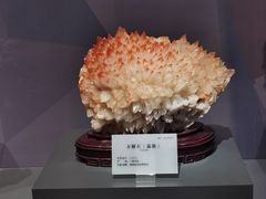 -湖南省地质博物馆