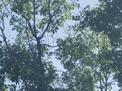 -燕晗山郊野公园