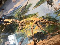 -自贡恐龙博物馆