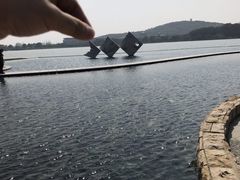-上海月湖雕塑公园