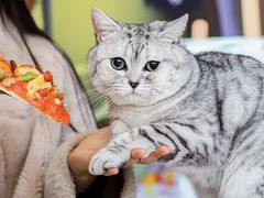 -必胜客(江东万达店)