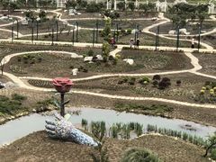 -都江堰玫瑰花溪谷