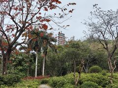 -深圳国际园林花卉博览园