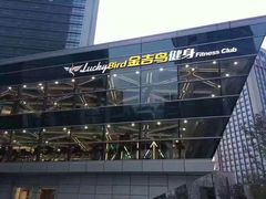 -金吉鸟健身游泳