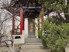 -桃花堤公园