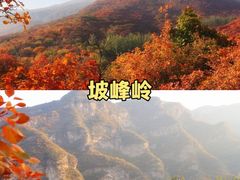 -沉浸北京·团建旅行·密室剧本杀·年会会议轰趴拓展