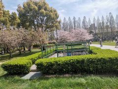 -复旦大学光华楼
