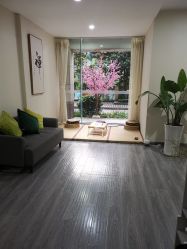 -榕树上·瑜伽普拉提