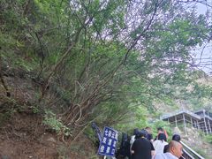 -野三坡清泉山风景区