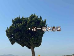-前海沿·青岛菜(李沧万达店)