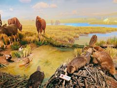 -陕西自然博物馆