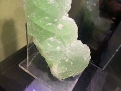 -中华赏石园