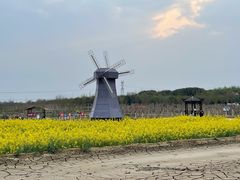 -武汉紫薇都市田园