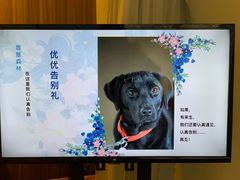 -翡翠森林宠物火化殡葬(通州店)